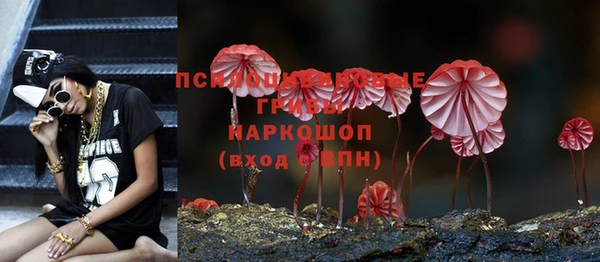 apvp Лиски