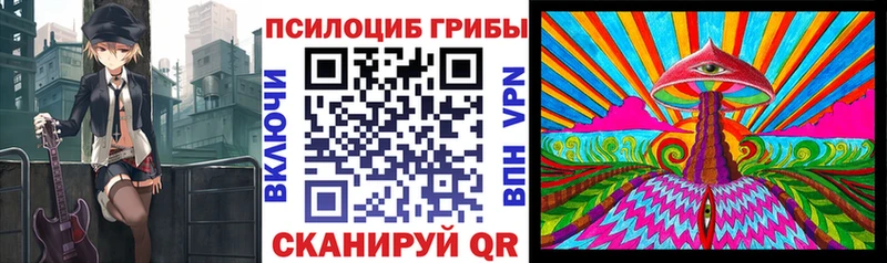 Псилоцибиновые грибы мицелий мега ТОР Абаза